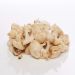 Champignon, i kvarte, 1 kg
