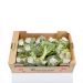 Broccoli, danske, 14x300 g, øko