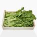 Cime de rapa, italiensk, 6,3 kg