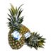 Ananas, sweet, 10 kg, øko