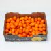 Kumquat, 2 kg