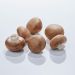 Markchampignon, 500 g