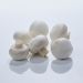 Champignon, 500 g