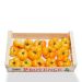 Cd boeuf tomater ananas, Rungis, 3,5 kg