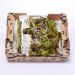 Crisp mix salat, skyllet, 2x400 g