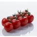 Cherry tomater, m/stilk, 1 kg