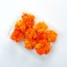 Tagetes orange, (Non Food) 1 bk