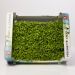 Cress, persinette, 16 bk