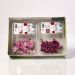 Fivola blossom, 1x50 stk