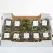 Flower sprouts, danske, 10x200 g