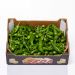 Padron peber, 2 kg