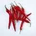 Chili, rød, 1 kg