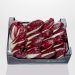 Radicchio, treviso, italienske, aflange, 8 bk