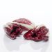 Radicchio treviso, italienske aflange, 1 bk