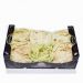 Radicchio, castel franco, italienske, 3 kg