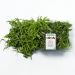 Rucola, 100 g