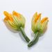 Courgette fleur, grønne 1 stk
