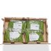 Haricots Verts, 4x500 g