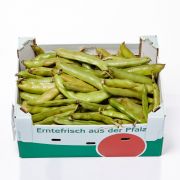 Hestebønner, friske italienske, 6 kg