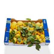 Citroner amalfi, italienske, m/blade, 7,8 kg