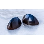 Fyldt chokolade m. saltkaramel, 60 stk, Valrhona